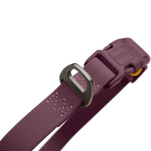 Collar With Quick-Release Buckle Havanna