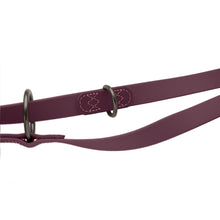 Training Leash Havanna
