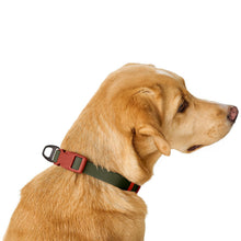 Collar With Quick-Release Buckle Havanna