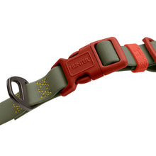 Collar With Quick-Release Buckle Havanna
