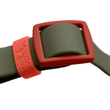 Collar With Quick-Release Buckle Havanna