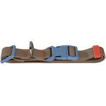 Collar With Quick-Release Buckle Havanna