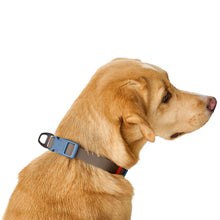 Collar With Quick-Release Buckle Havanna