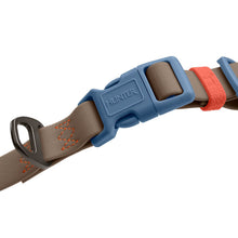 Collar With Quick-Release Buckle Havanna
