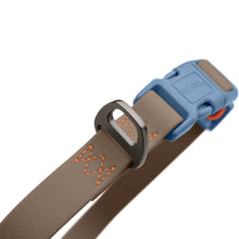 Collar With Quick-Release Buckle Havanna