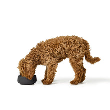 Dog Bowl Mora