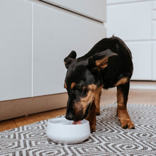 Dog Bowl Mora