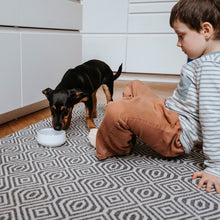 Dog Bowl Mora