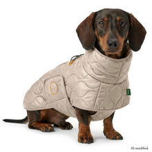 Dog coat Lundby Dachshund Kutyakabát