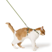 Cat harness set Kirs