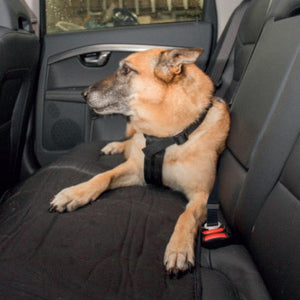 DUVO+ Car Dog Safety Harness