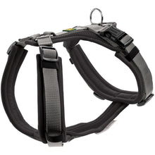 Harness Maldon Up