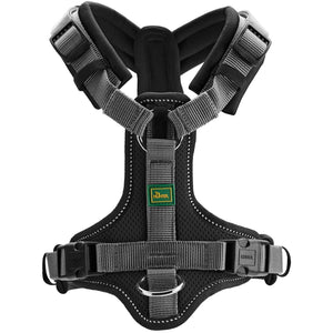 Harness Maldon Up