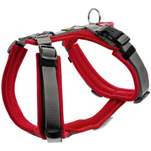 Harness Maldon Up