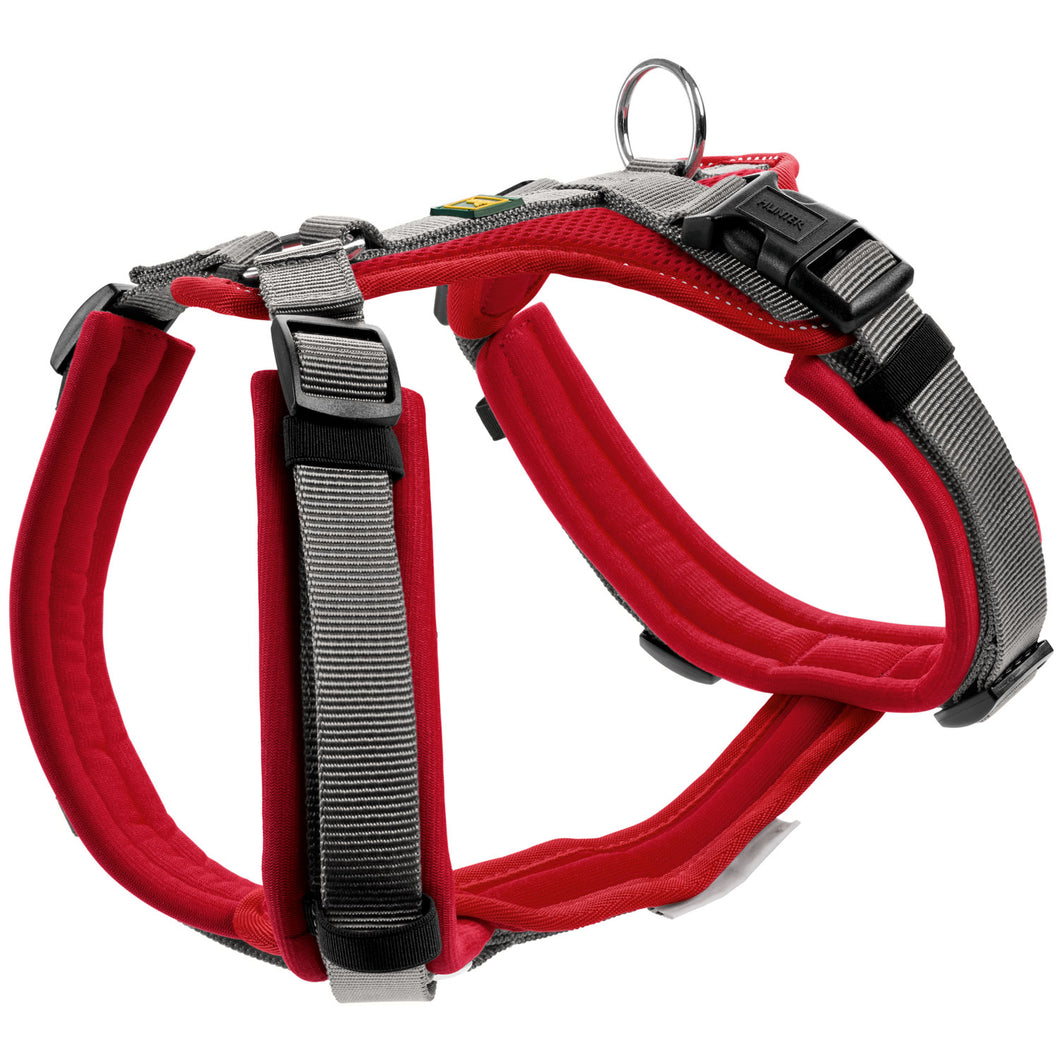 Harness Maldon Up