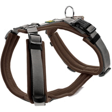 Harness Maldon Up