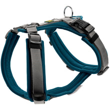 Harness Maldon Up