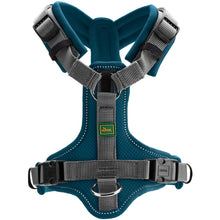 Harness Maldon Up