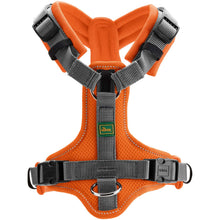 Harness Maldon Up