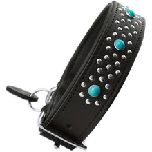 Dog Collar Madona