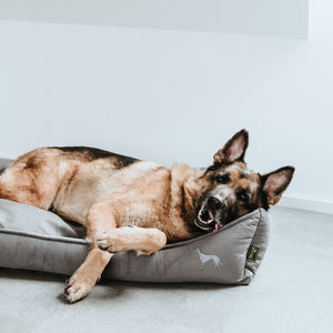 Orthopaedic dog sofa Merida