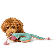 Dog Toy Rio