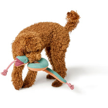 Dog Toy Rio