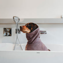 Hunde-Dog bathrobe Riga