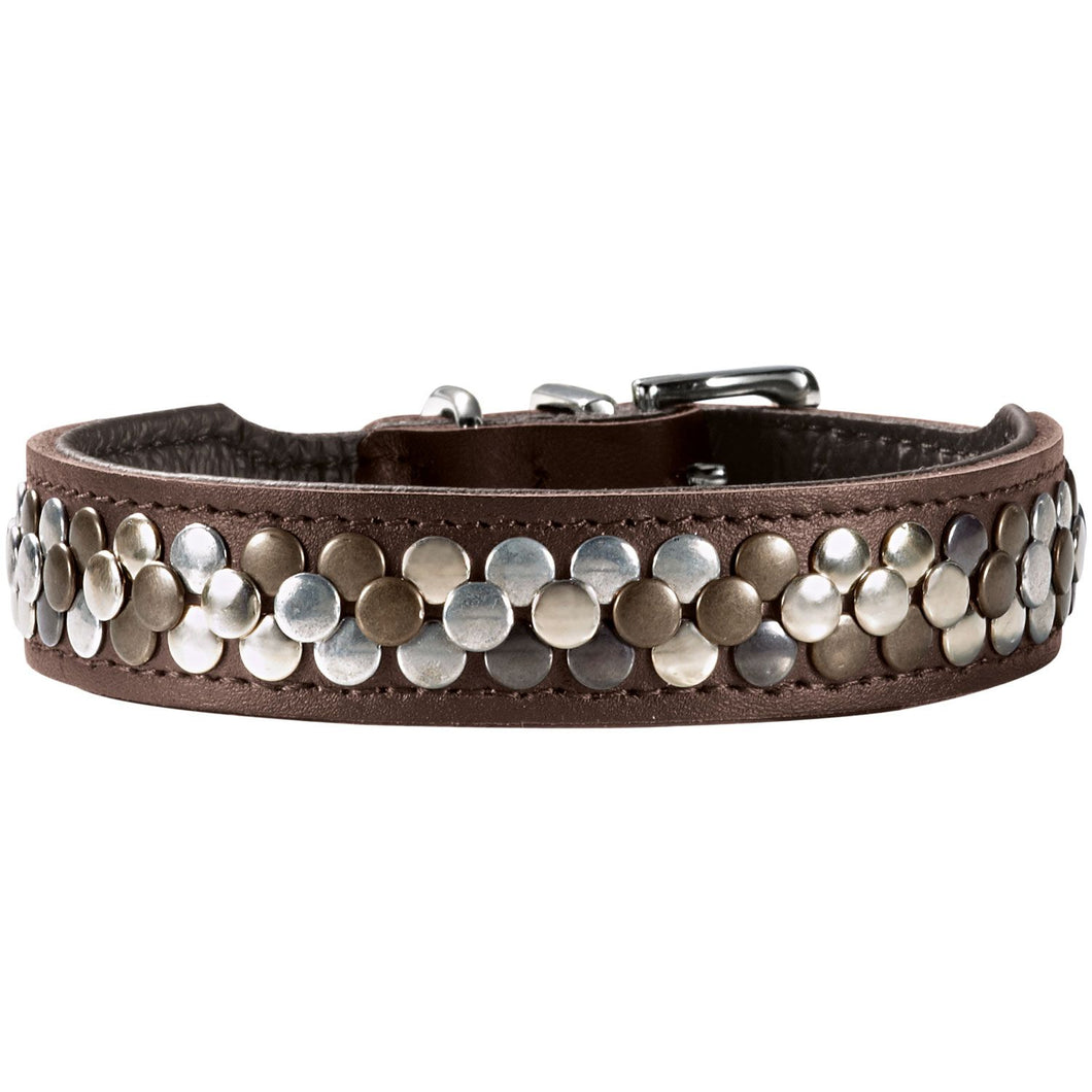 Collar Arizona Up