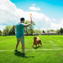 Fetch toy for dogs FLINGERZ™ Ball