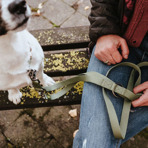 Training leash Inari