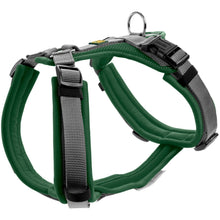 Harness Maldon Up
