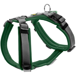 Harness Maldon Up
