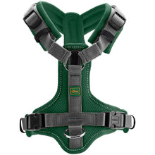 Harness Maldon Up