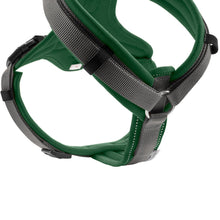 Harness Maldon Up