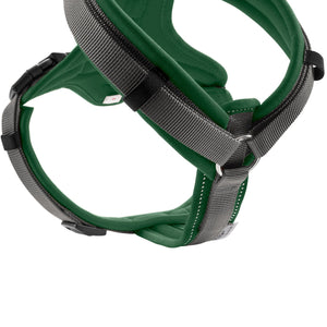 Harness Maldon Up