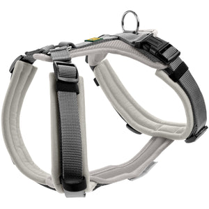 Harness Maldon Up
