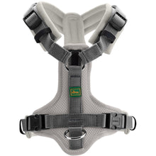 Harness Maldon Up