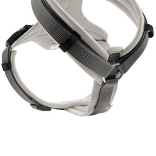Harness Maldon Up