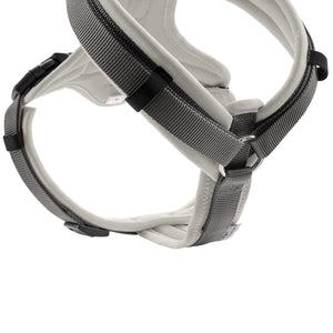 Harness Maldon Up