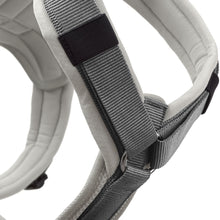 Harness Maldon Up