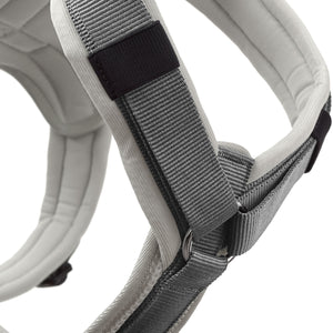 Harness Maldon Up