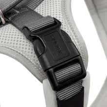 Harness Maldon Up