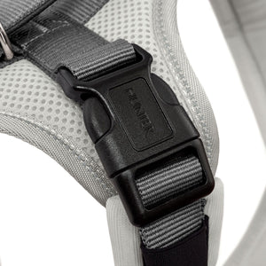 Harness Maldon Up