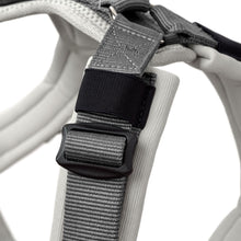 Harness Maldon Up