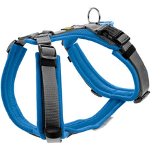 Harness Maldon Up