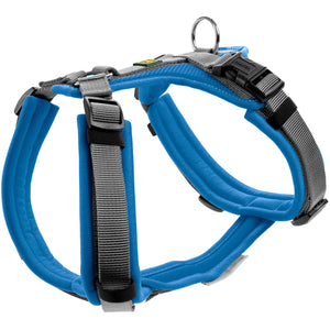 Harness Maldon Up