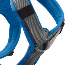 Harness Maldon Up
