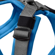 Harness Maldon Up