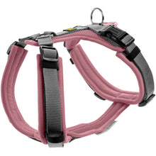 Harness Maldon Up